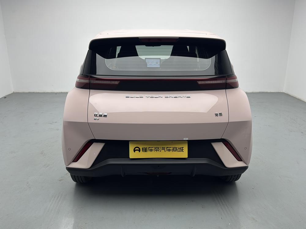 BYD Seagull