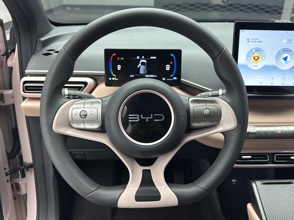 BYD Seagull