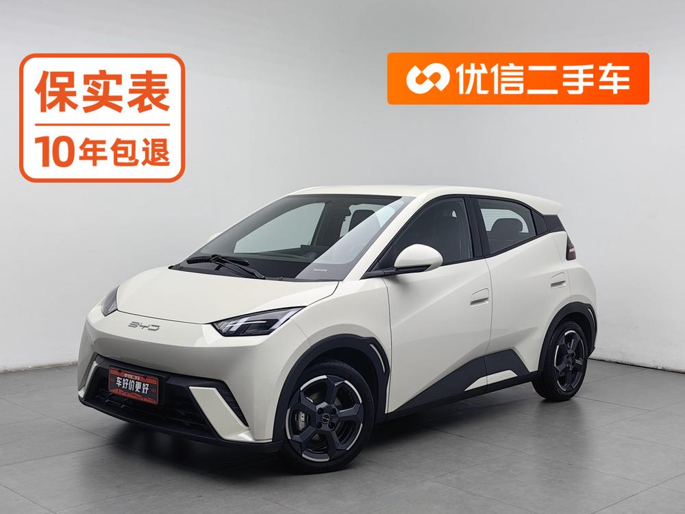 BYD Seagull