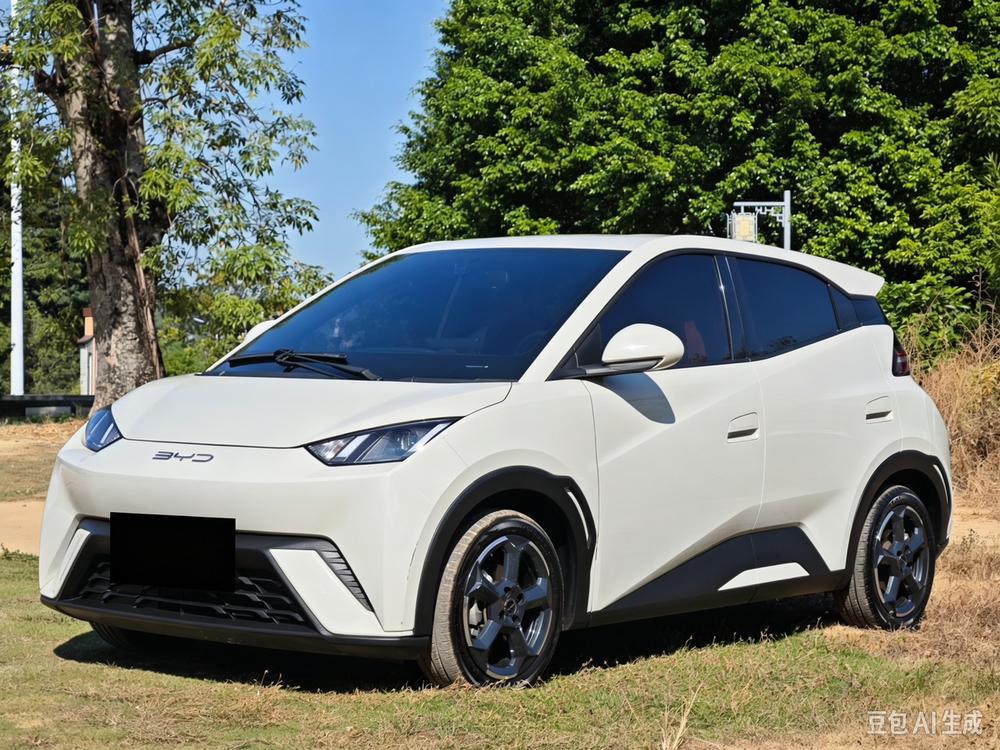 BYD Seagull