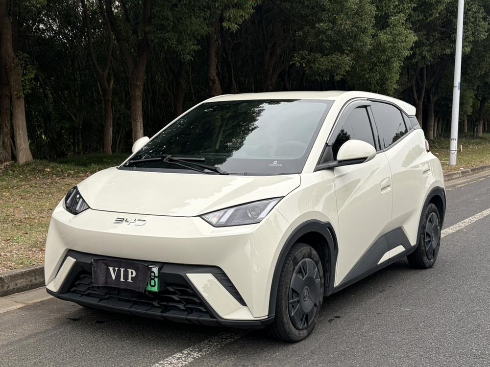 BYD Seagull