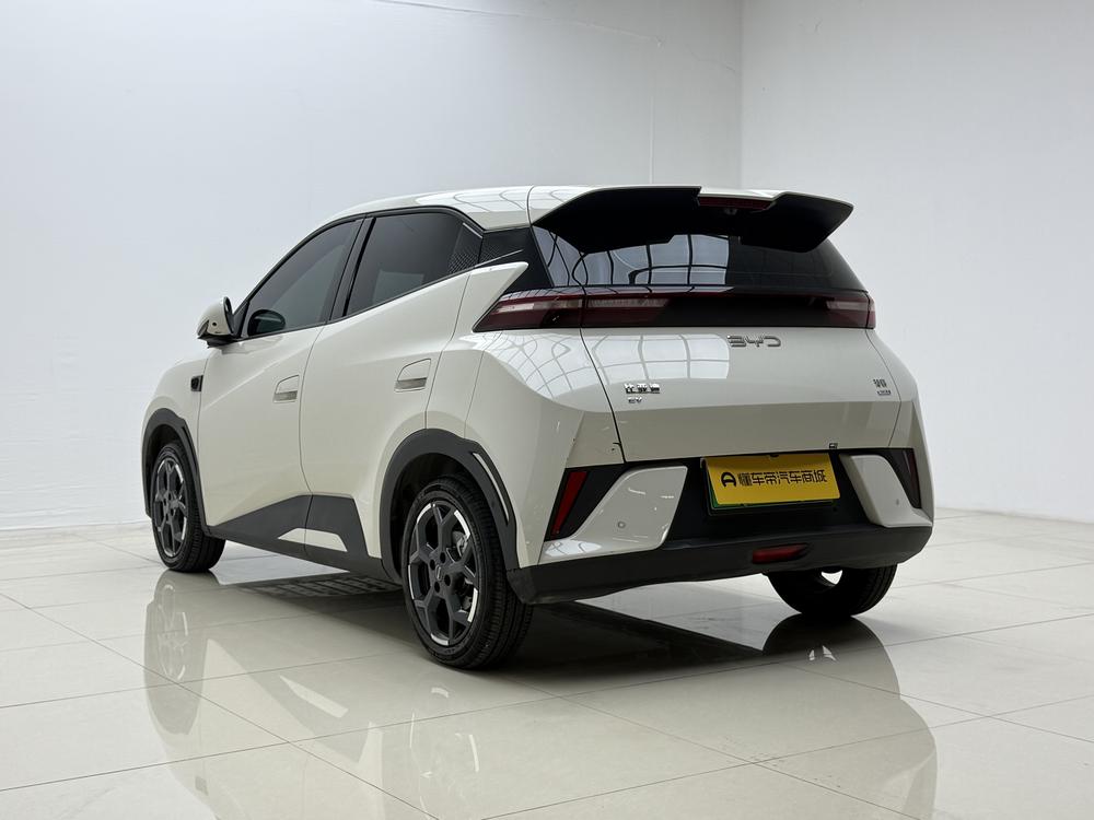 BYD Seagull