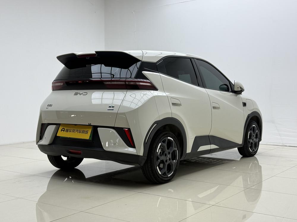 BYD Seagull