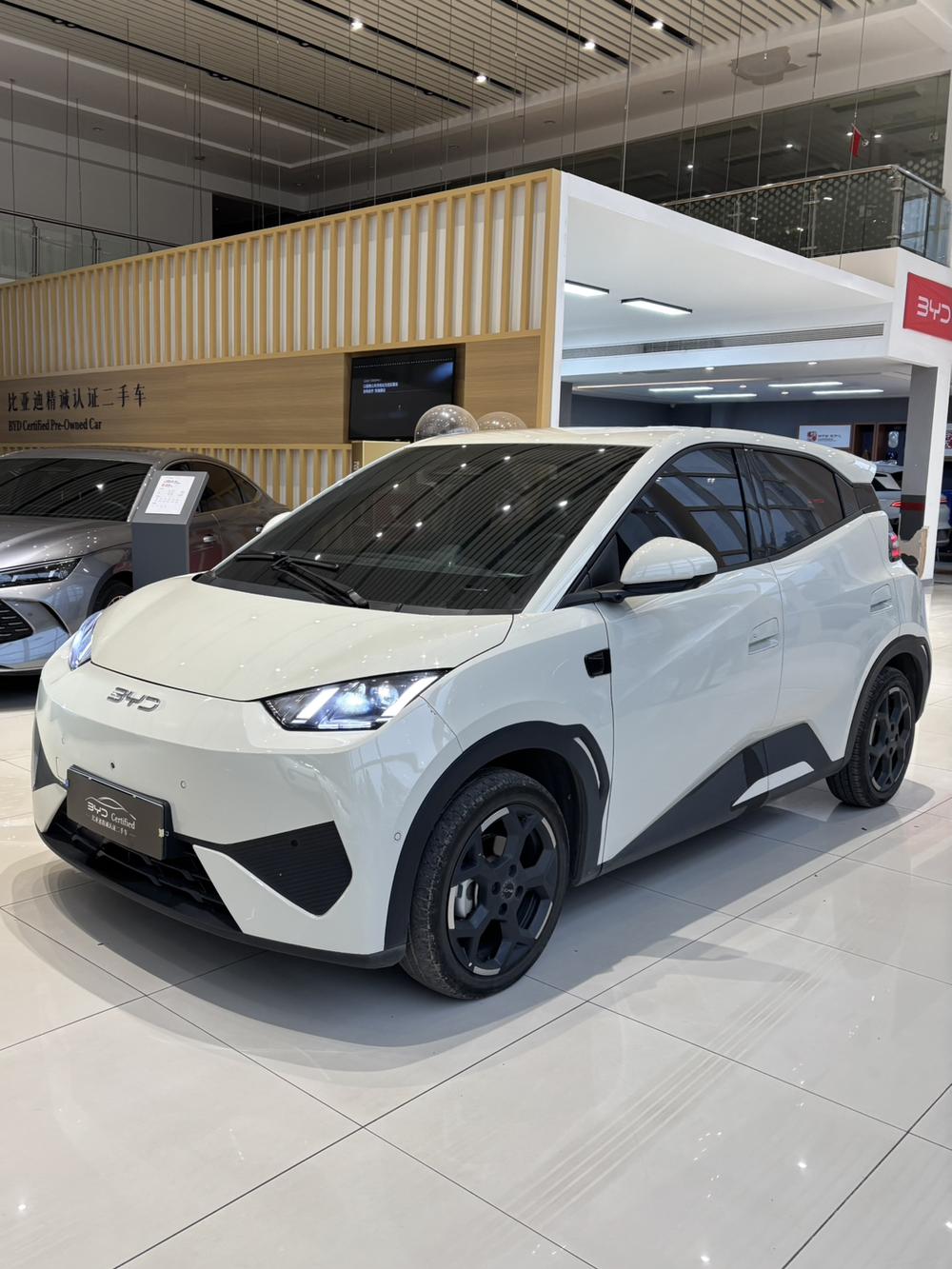 BYD Seagull