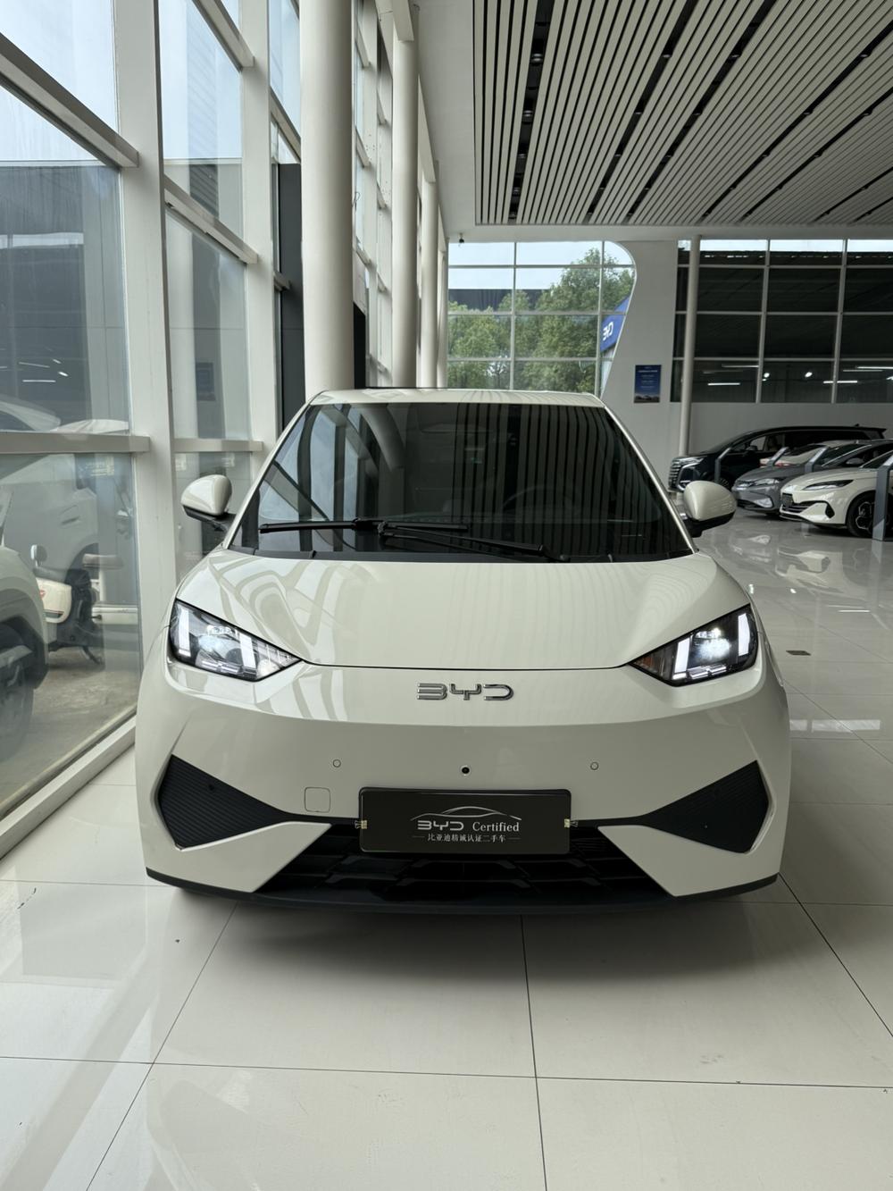 BYD Seagull