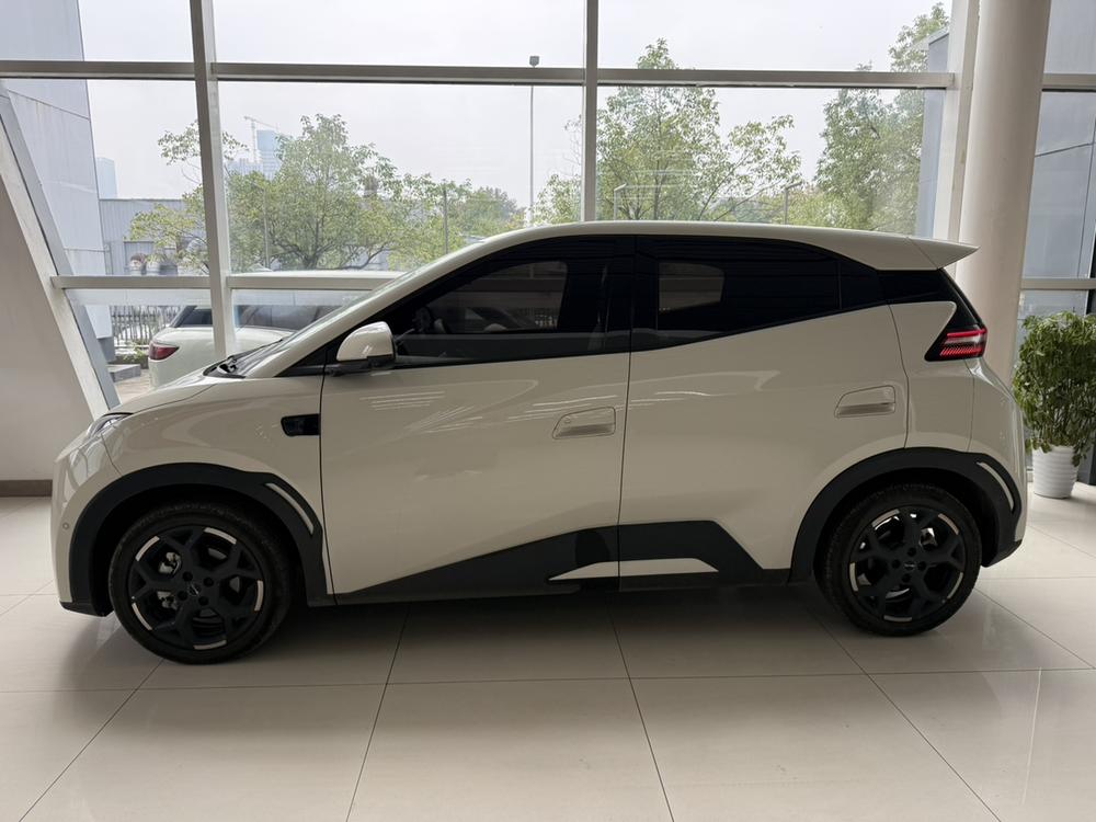 BYD Seagull