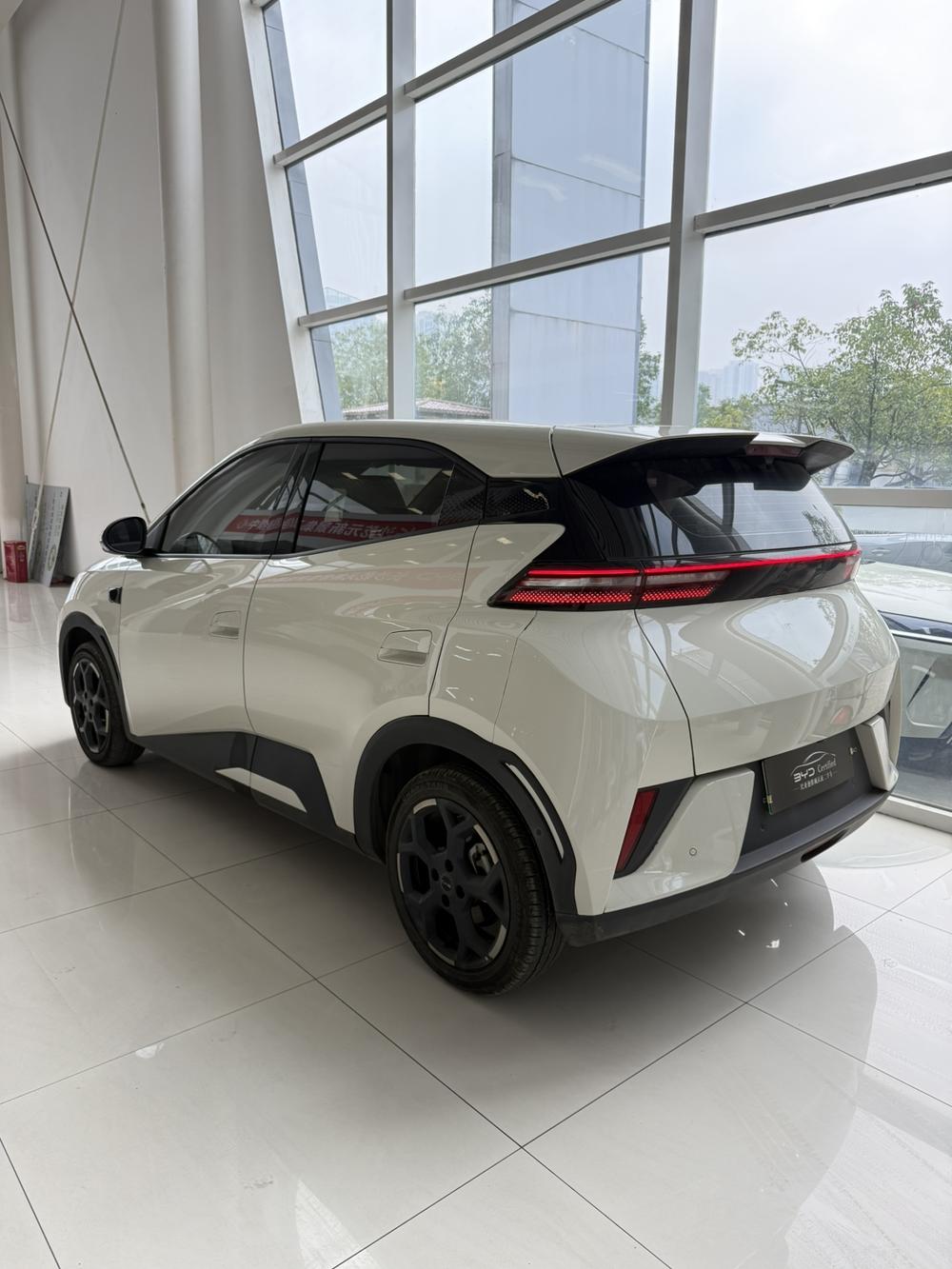BYD Seagull