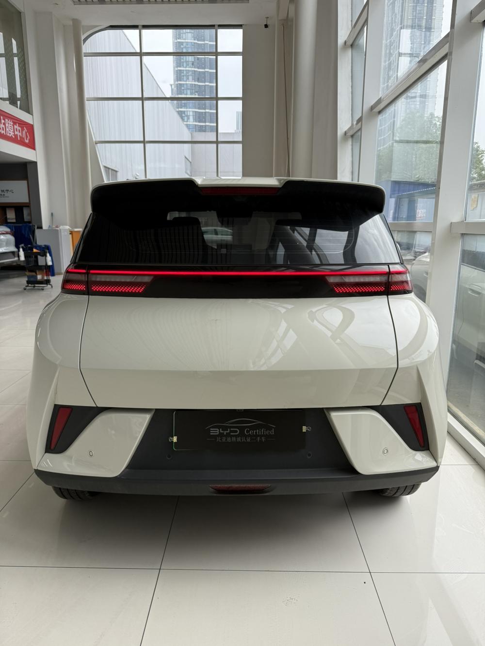 BYD Seagull