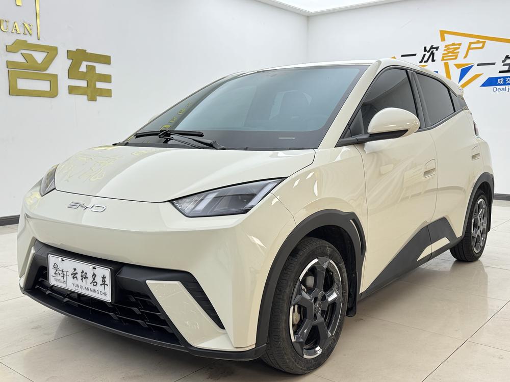 BYD Seagull