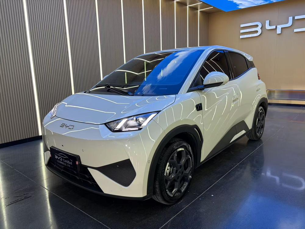 BYD Seagull