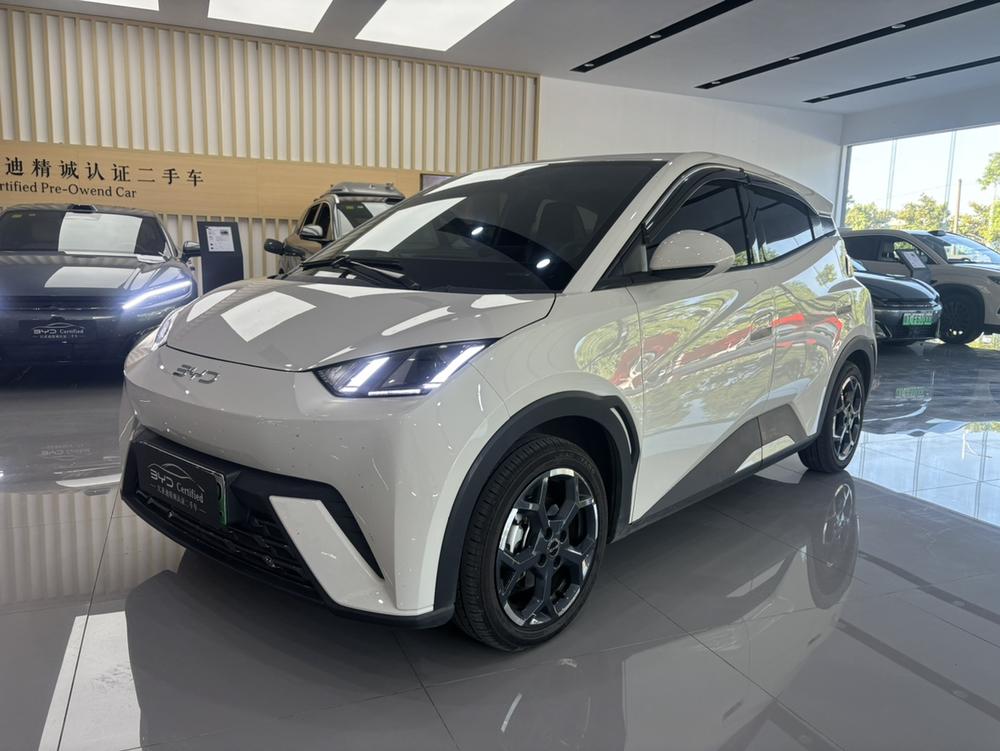 BYD Seagull