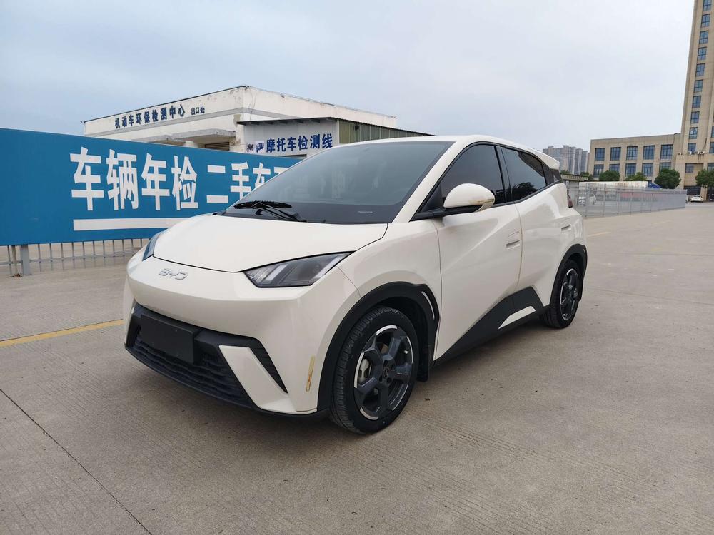 BYD Seagull