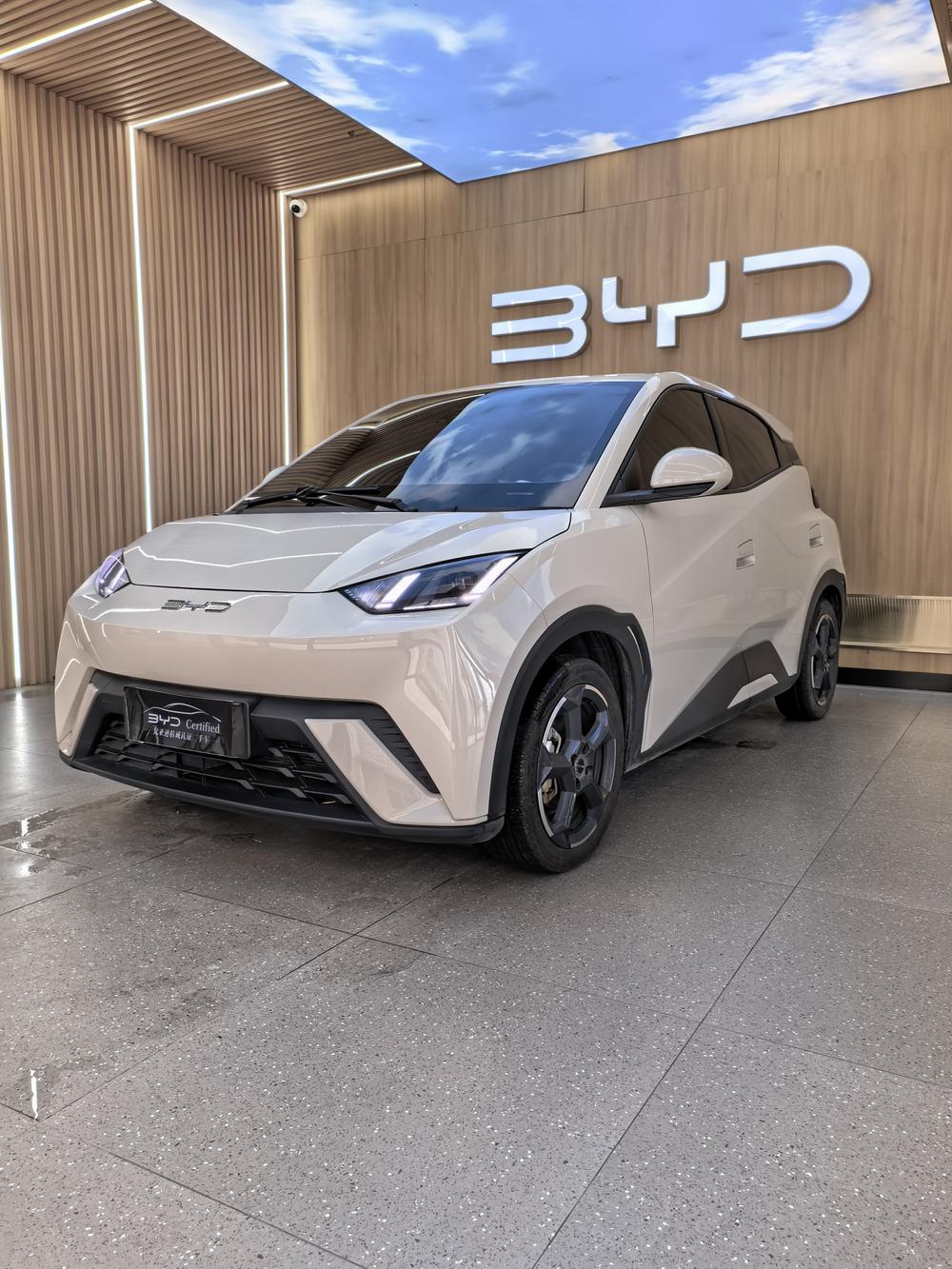 BYD Seagull