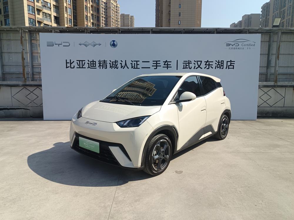 BYD Seagull