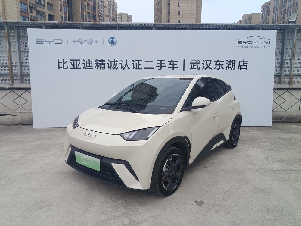 BYD Seagull