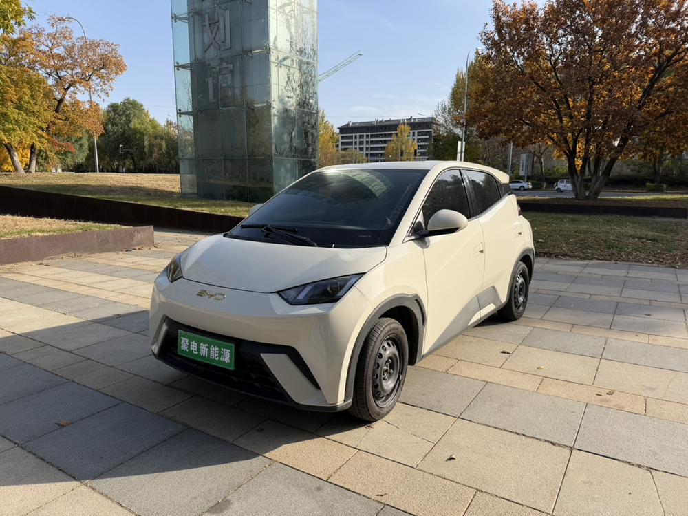 BYD Seagull