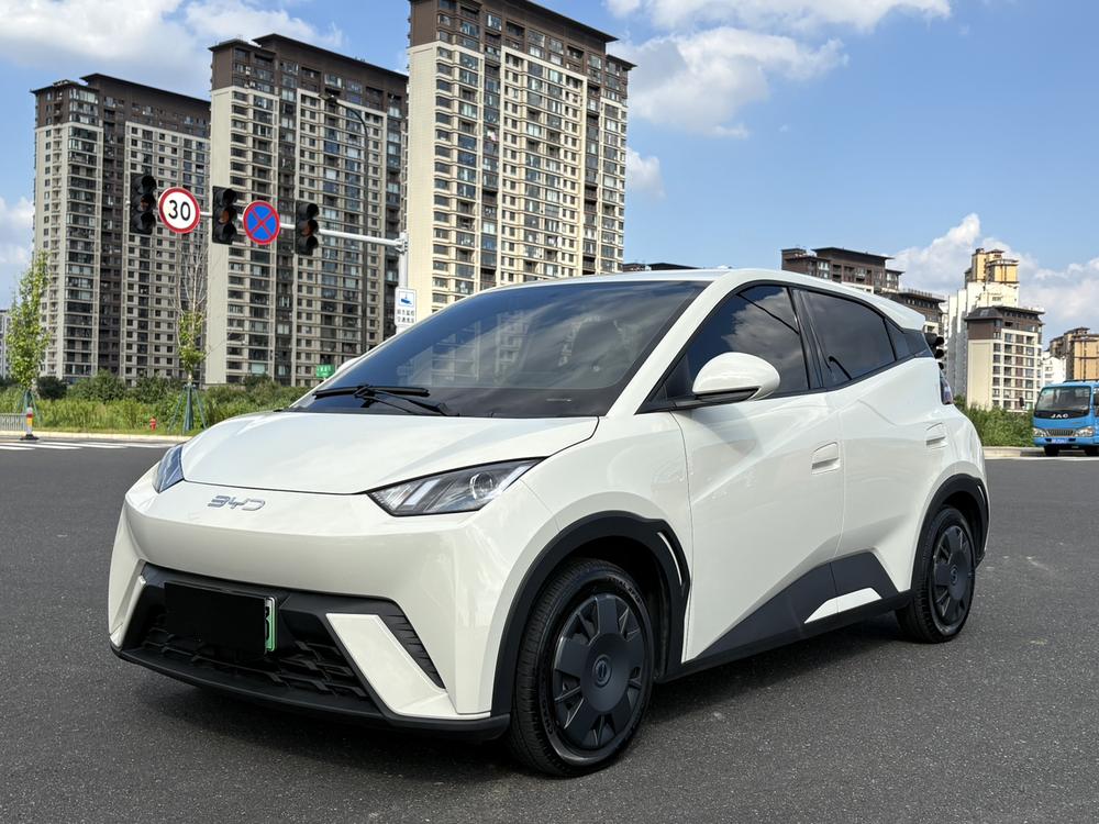 BYD Seagull