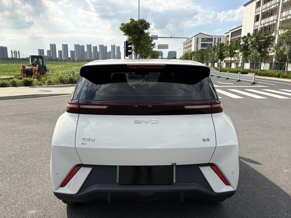 BYD Seagull