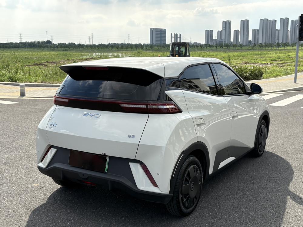 BYD Seagull
