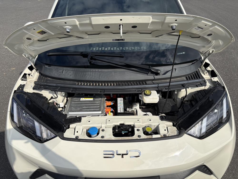 BYD Seagull