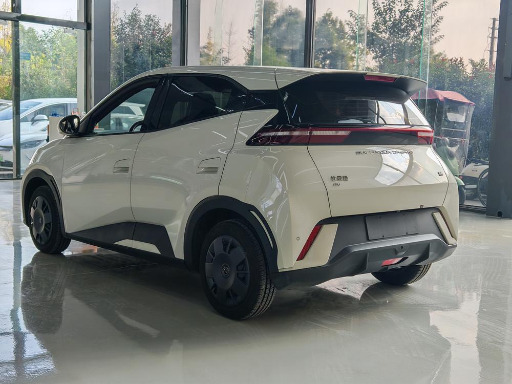 BYD Seagull