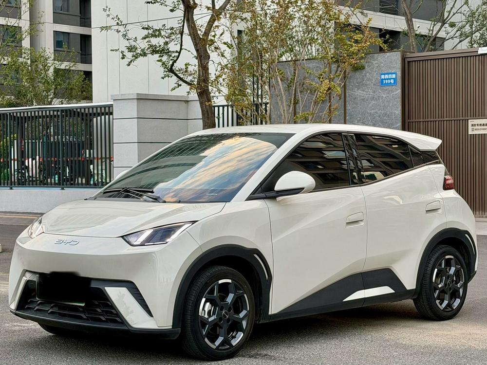 BYD Seagull