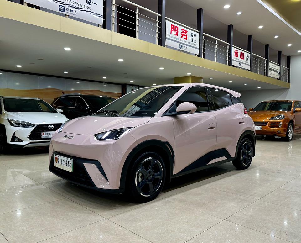 BYD Seagull