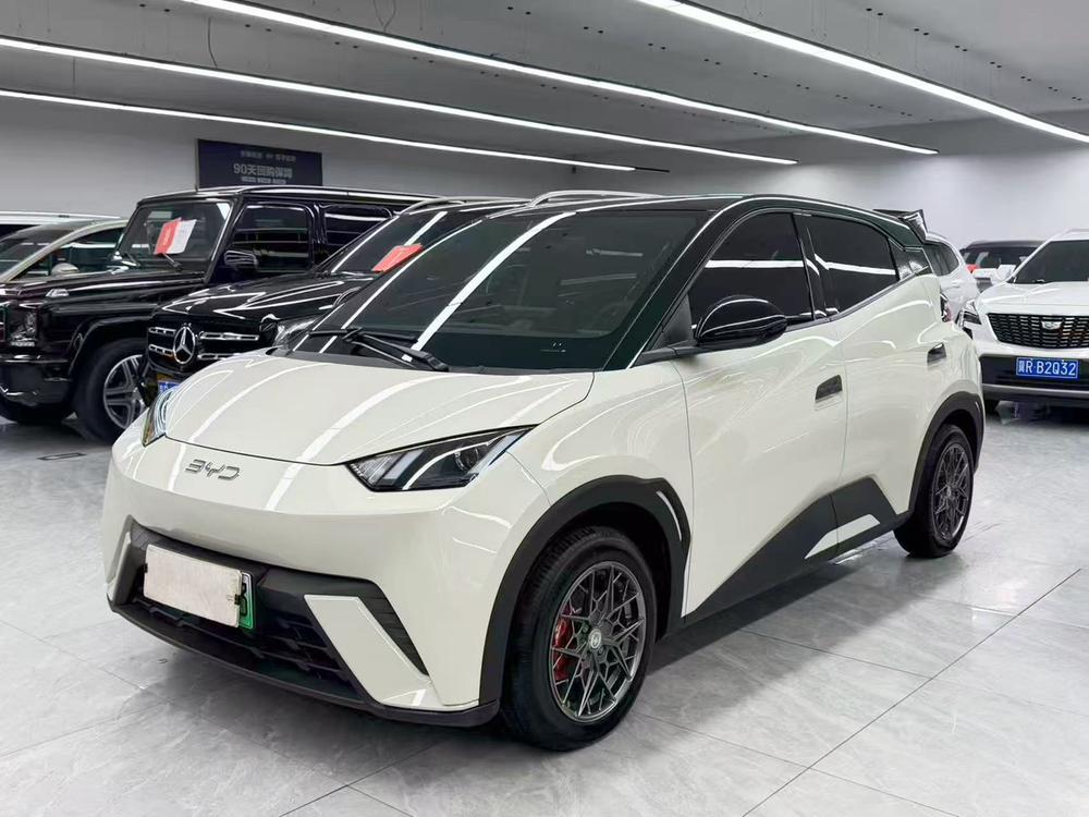 BYD Seagull