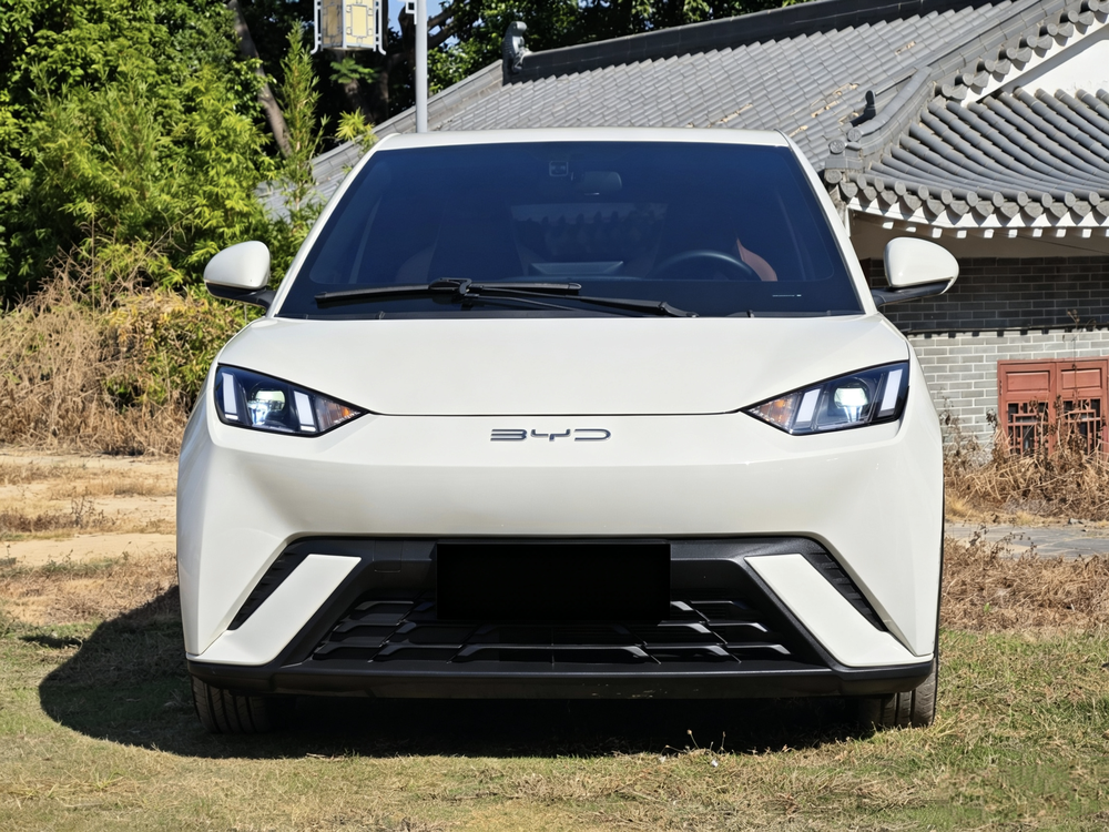 BYD Seagull