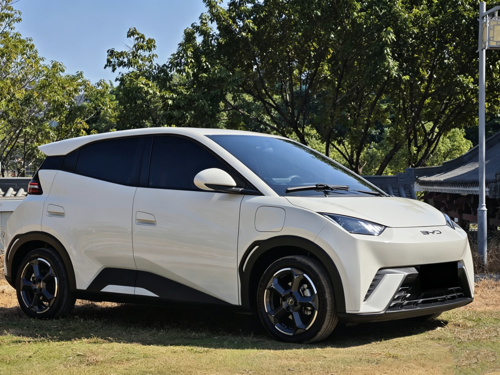 BYD Seagull