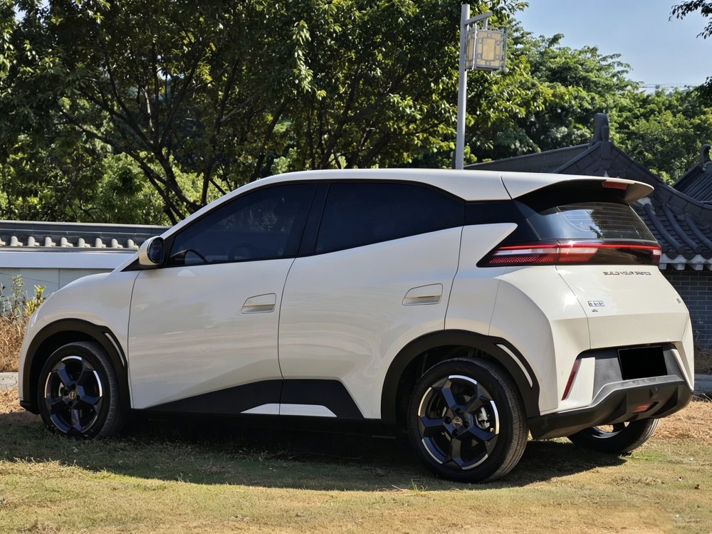 BYD Seagull