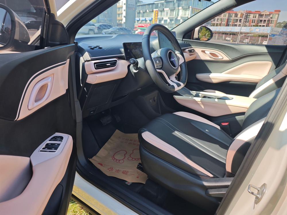 BYD Seagull