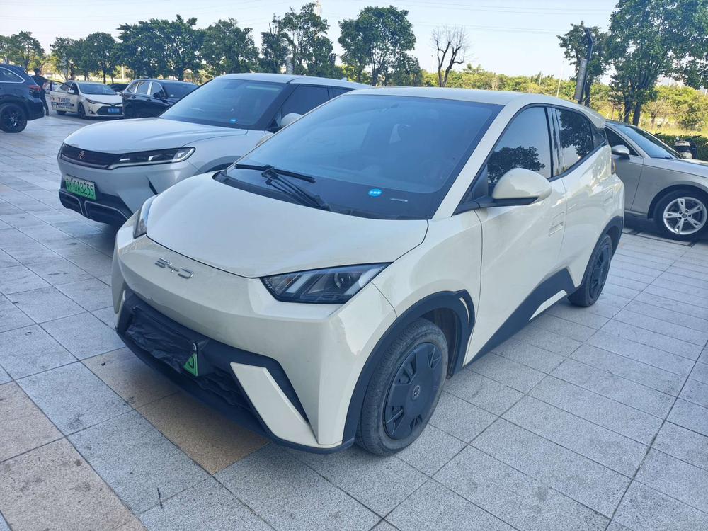 BYD Seagull