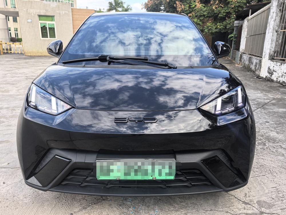 BYD Seagull