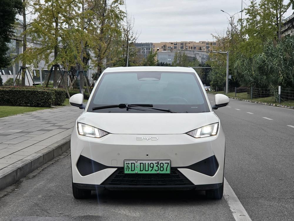BYD Seagull
