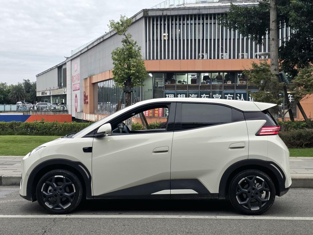 BYD Seagull