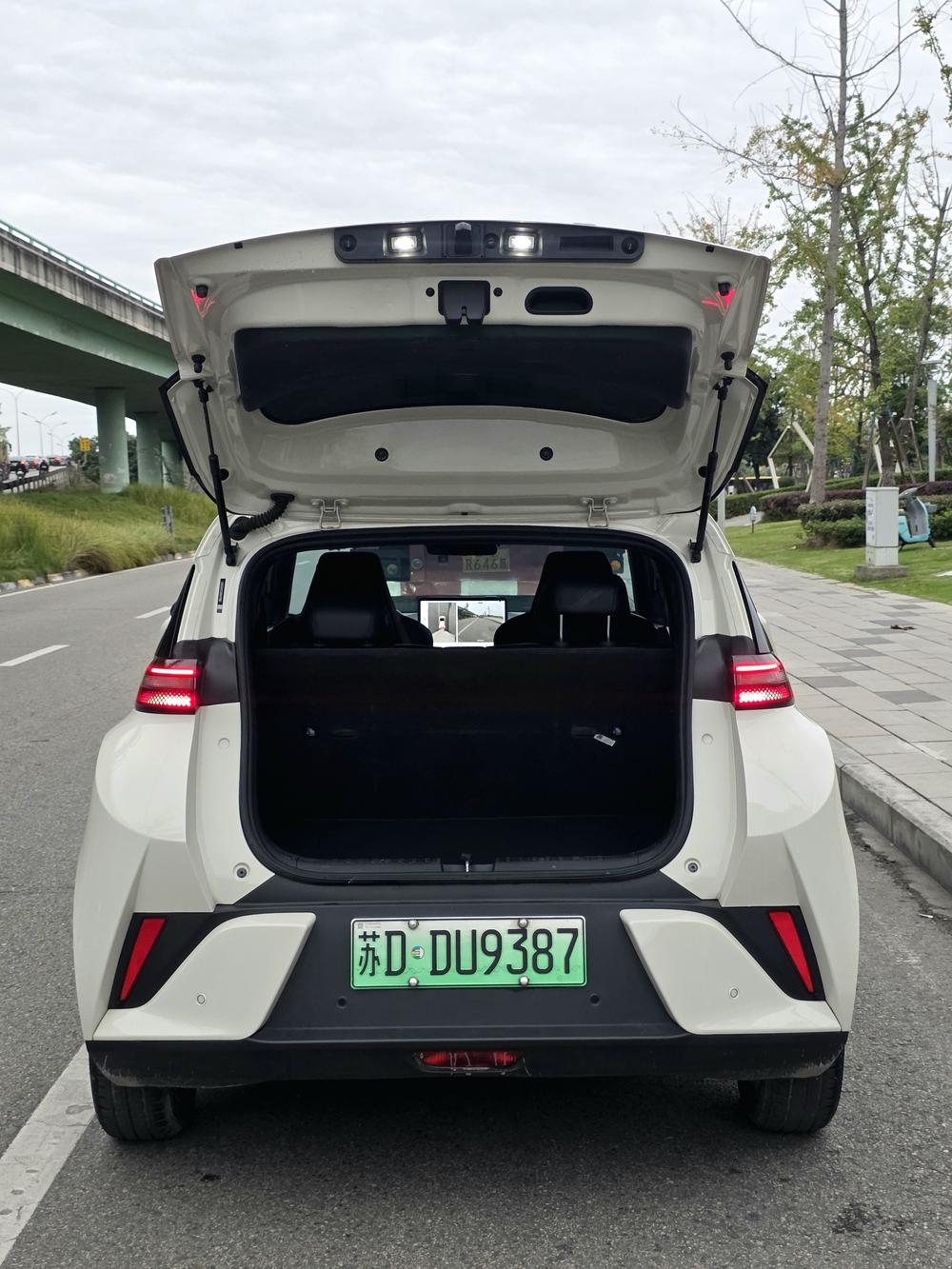 BYD Seagull