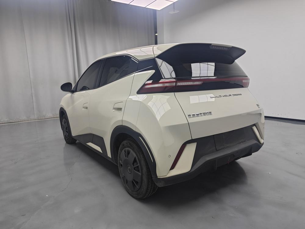 BYD Seagull