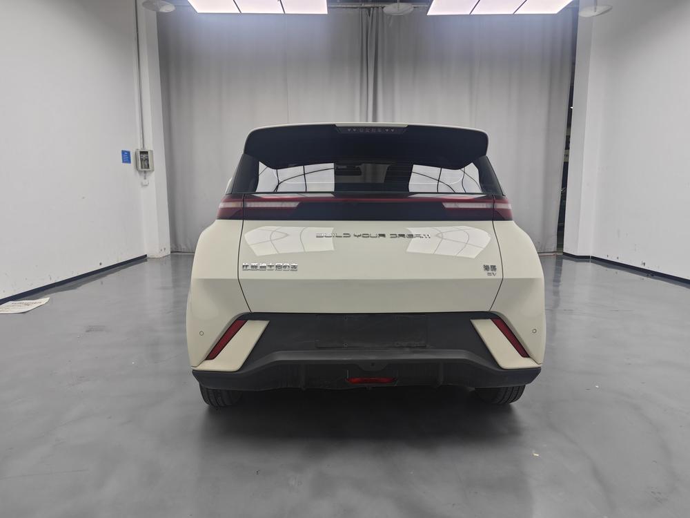 BYD Seagull
