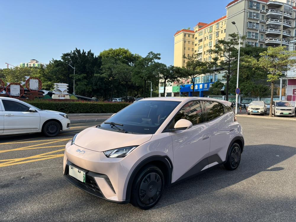BYD Seagull