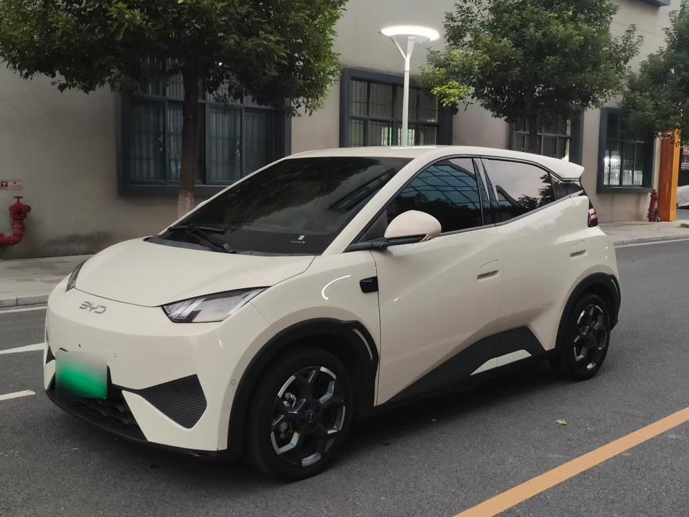BYD Seagull