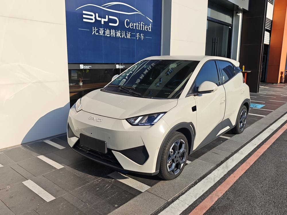 BYD Seagull