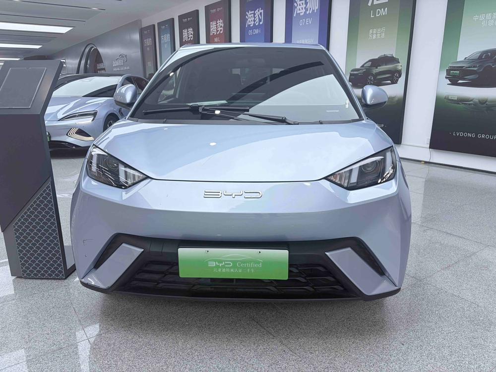 BYD Seagull