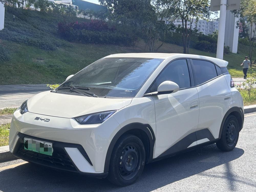 BYD Seagull