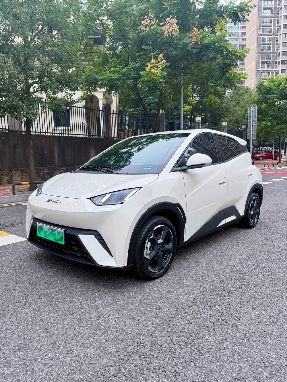 BYD Seagull