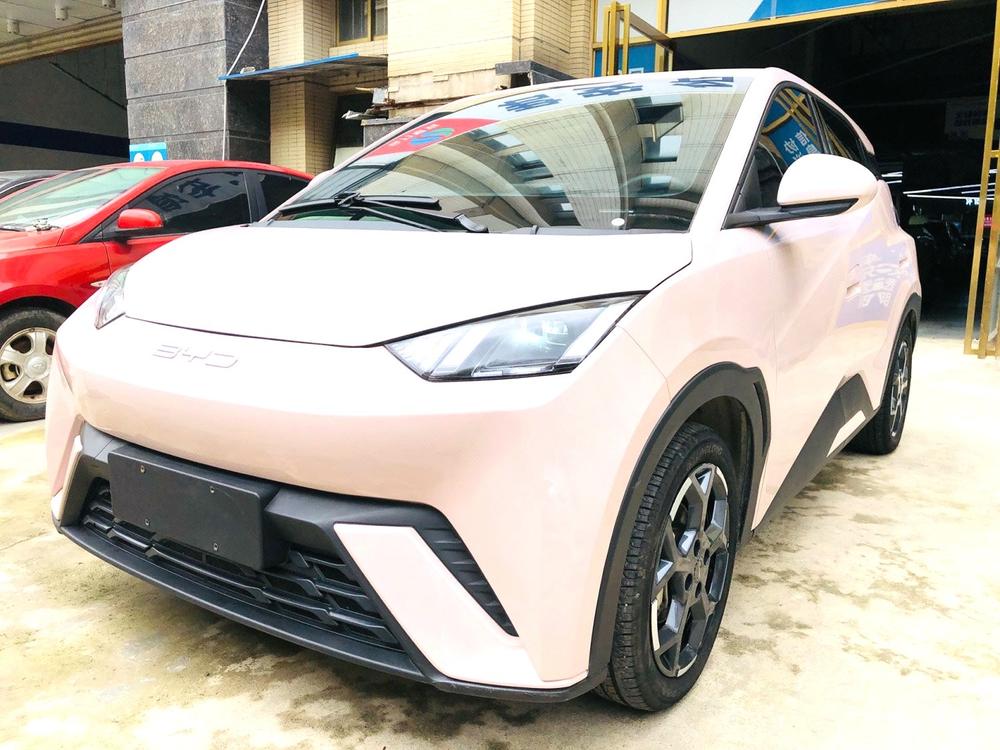 BYD Seagull