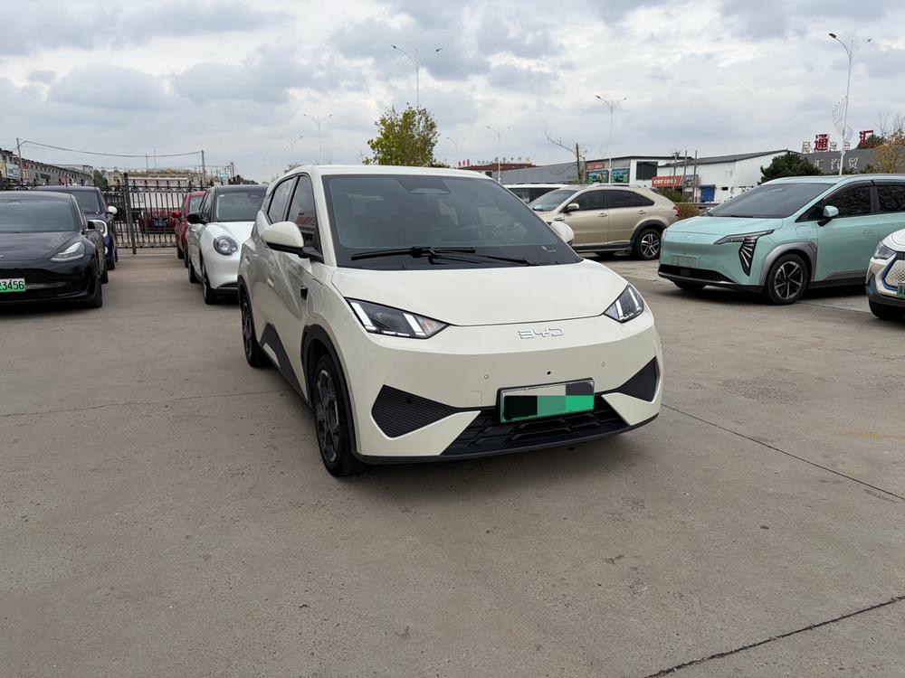BYD Seagull