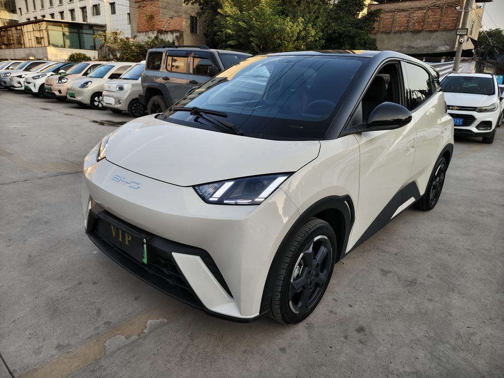 BYD Seagull