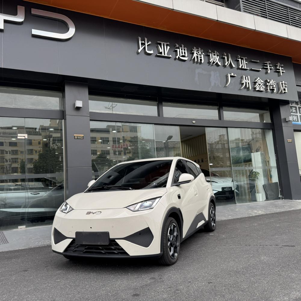 BYD Seagull