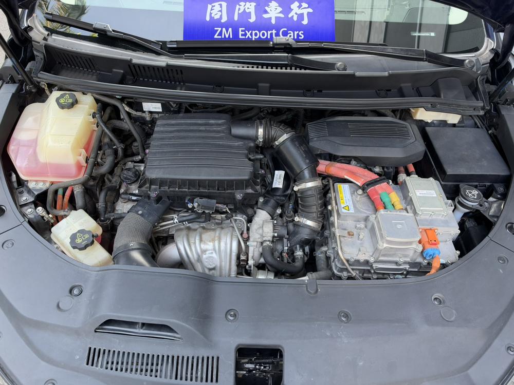 BYD Song MAX DM